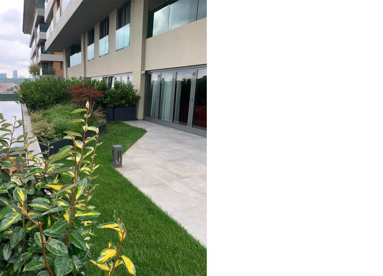 Betula | Artı Tarabya Orman