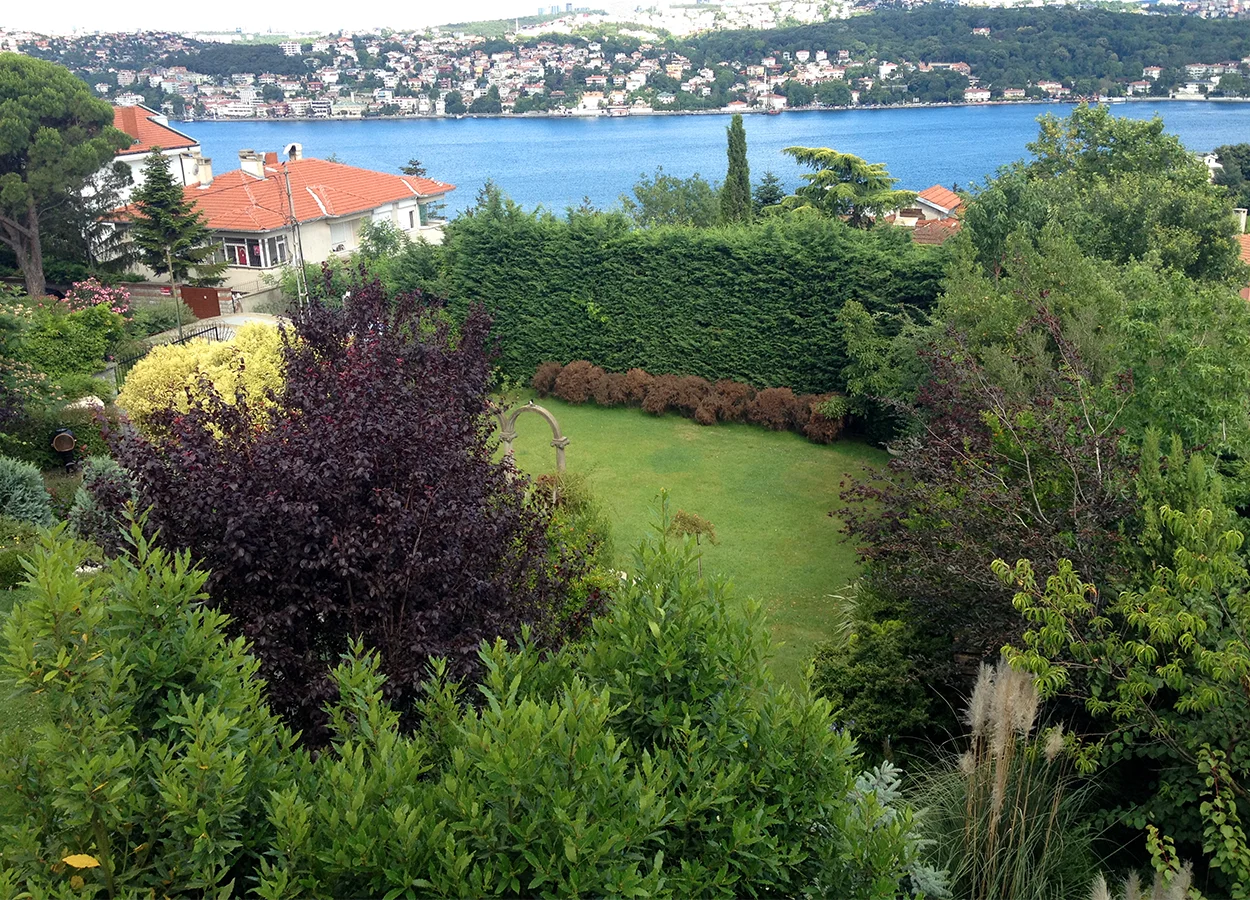 Betula | Kanlıca |NÇ| Evi
