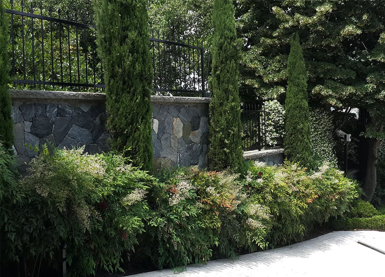 Betula | Kanlıca |NÇ| Evi