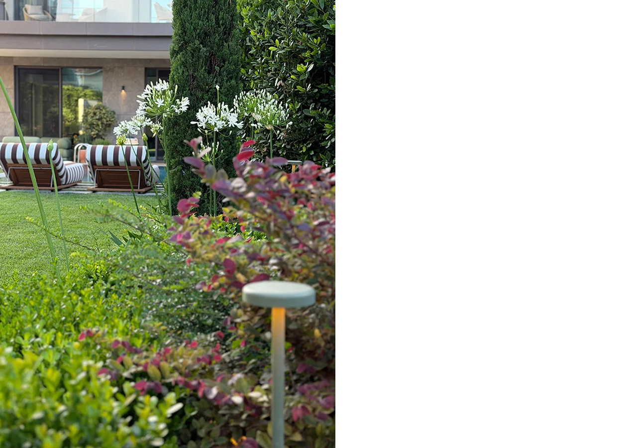 Betula | Kempinski Residences |DDD| House