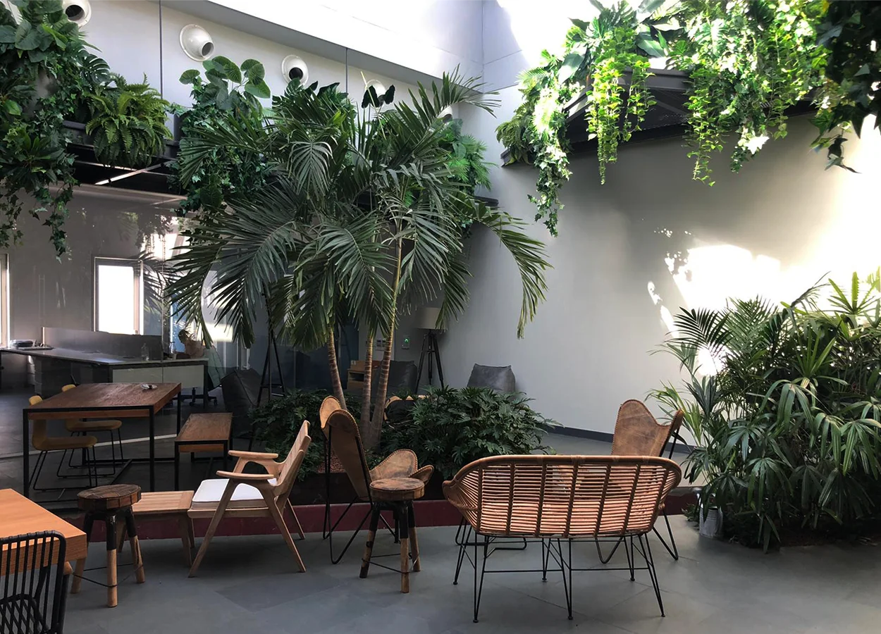 Betula | Eurotec | Office