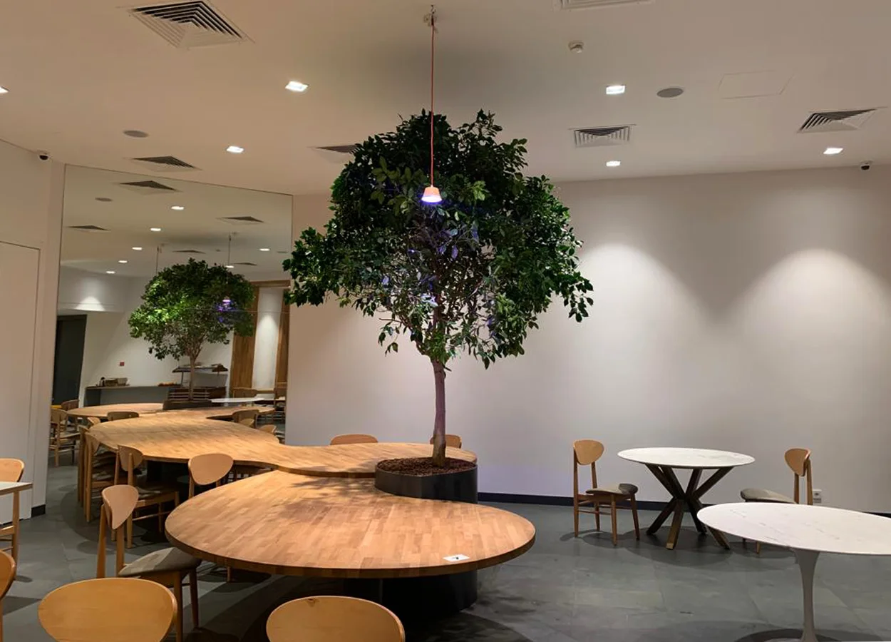 Betula | Eurotec | Office