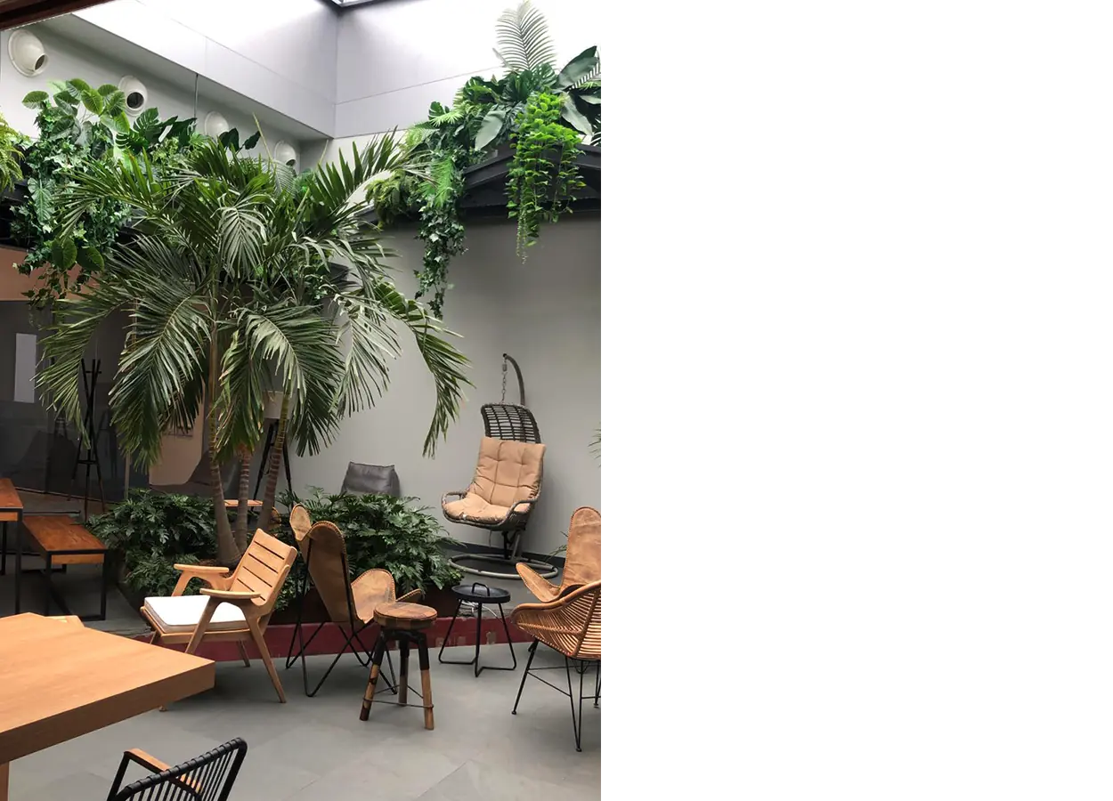 Betula | Eurotec | Office