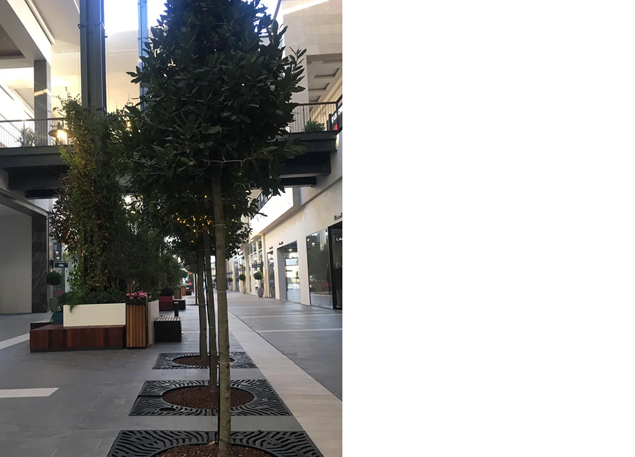 Betula | Ronesans Karsiyaka Hilltown Shopping Mall