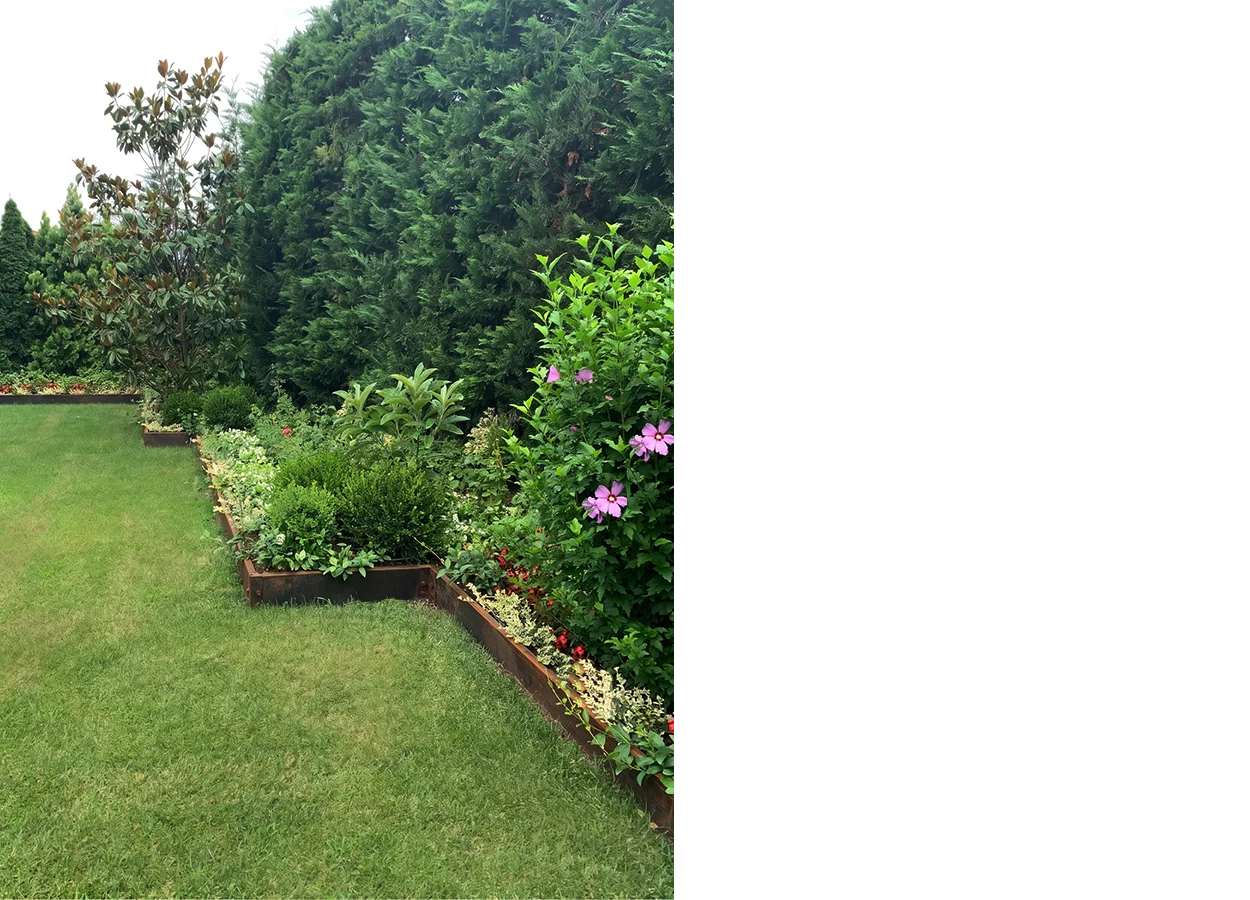 Betula | Acarkent |AK| House