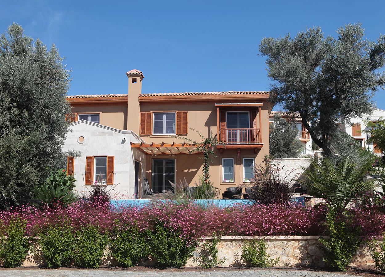 Betula | Lavanta Kasabasi | Kalkan