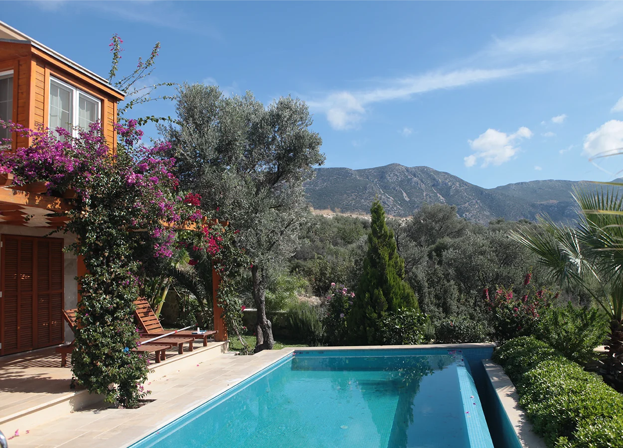 Betula | Lavanta Kasabasi | Kalkan