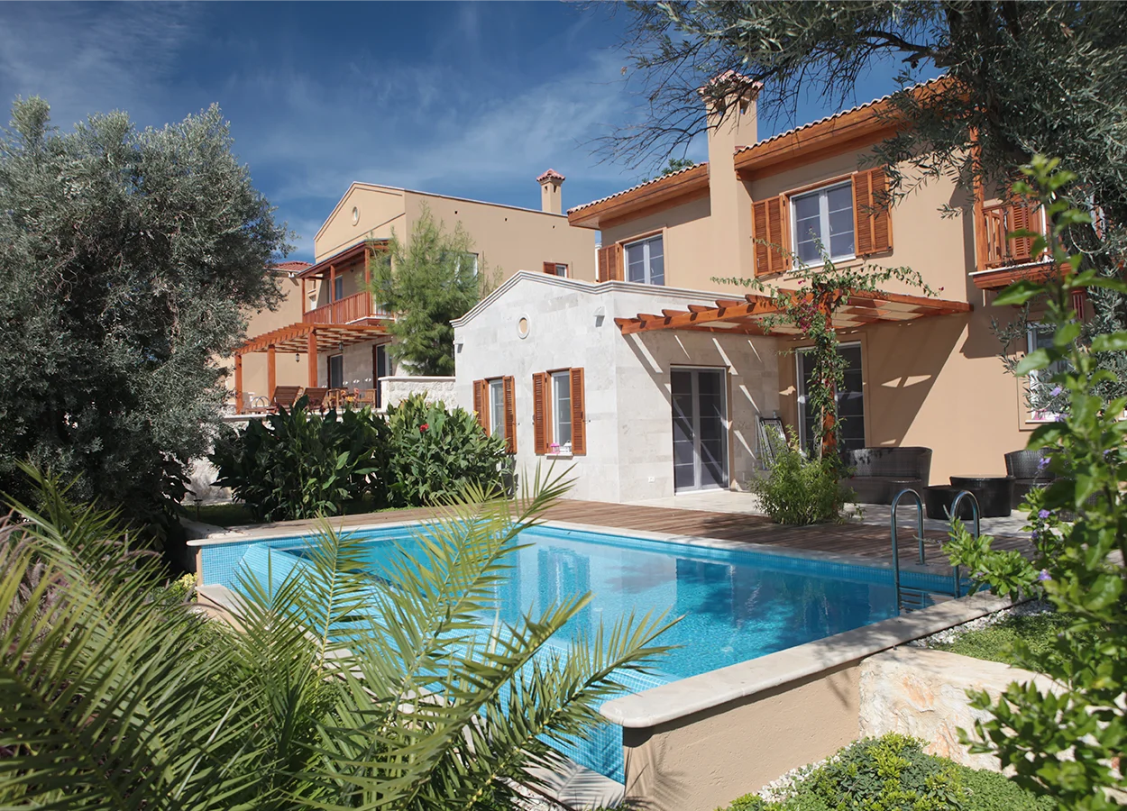 Betula | Lavanta Kasabasi | Kalkan