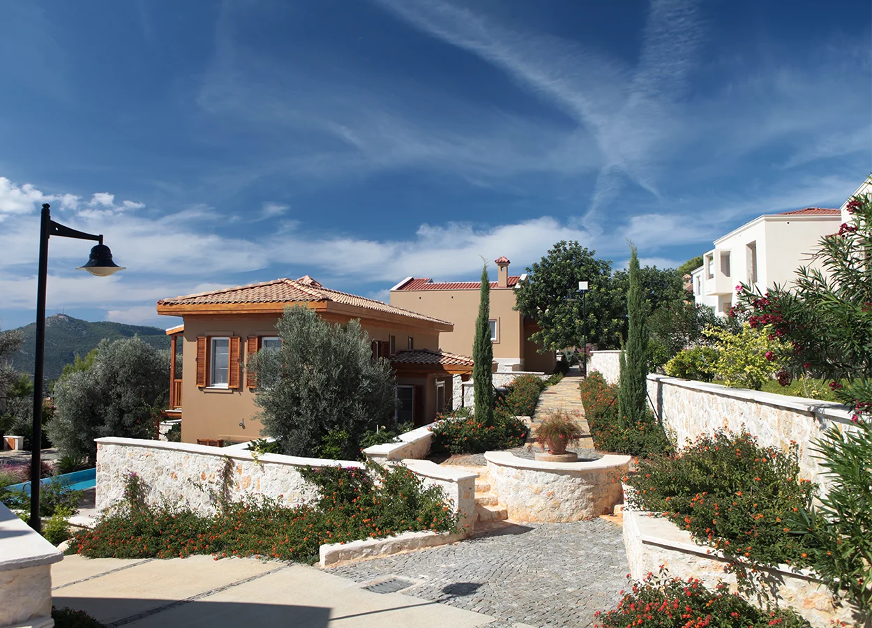 Betula | Lavanta Kasabasi | Kalkan