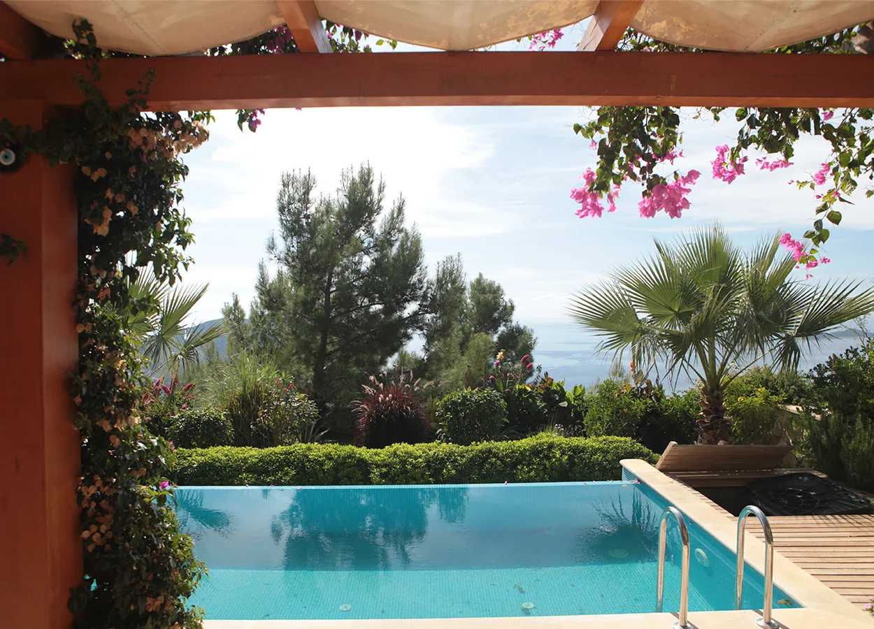 Betula | Lavanta Kasabasi | Kalkan