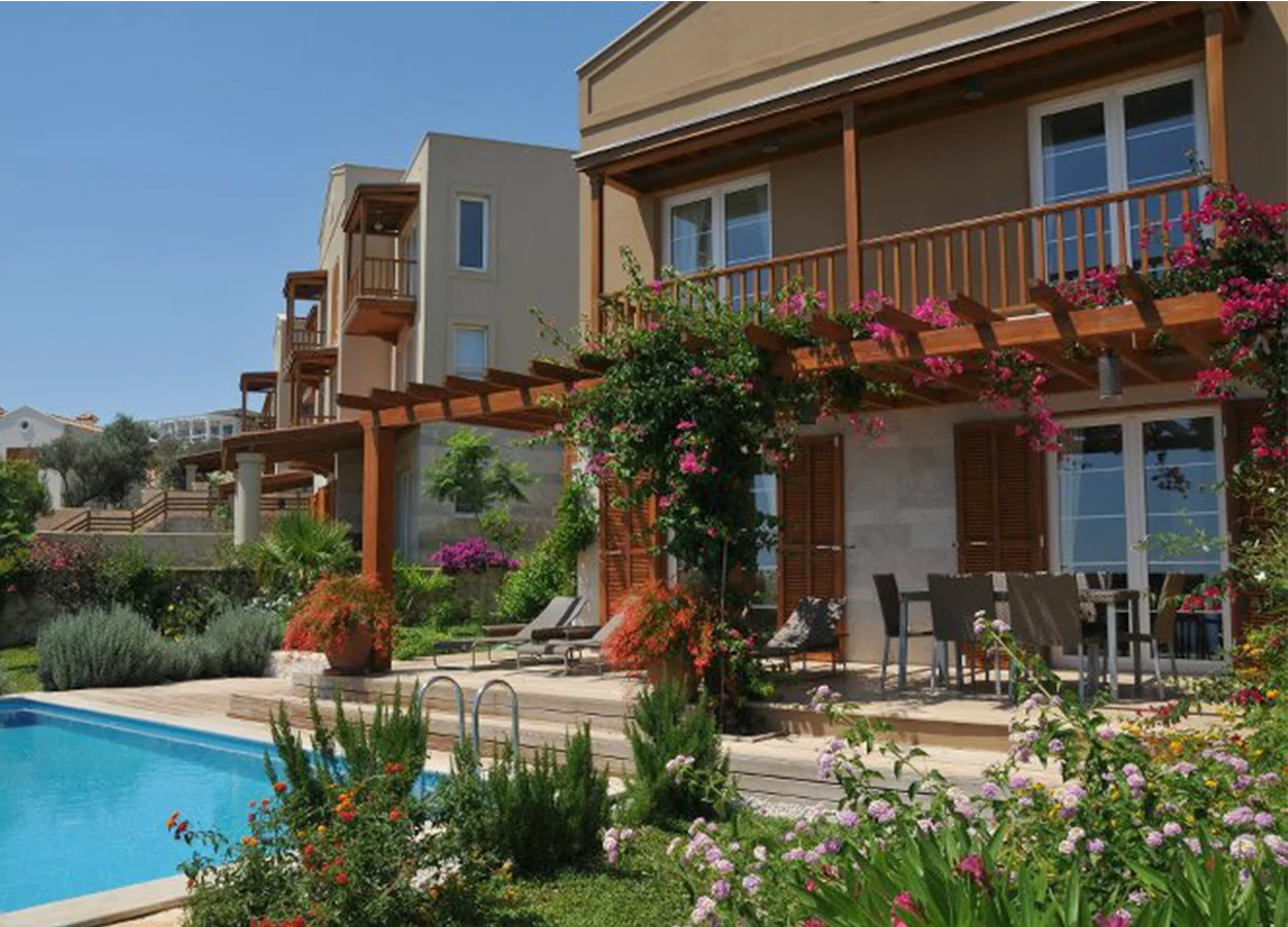 Betula | Lavanta Kasabasi | Kalkan
