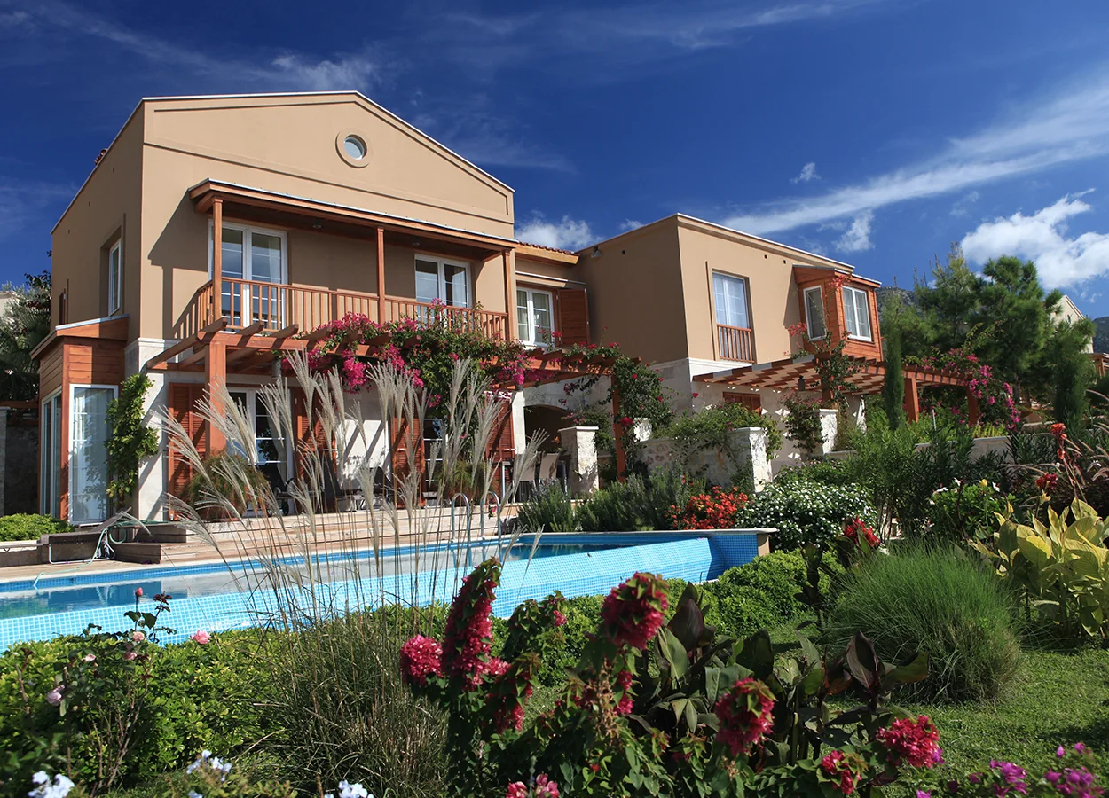 Betula | Lavanta Kasabasi | Kalkan