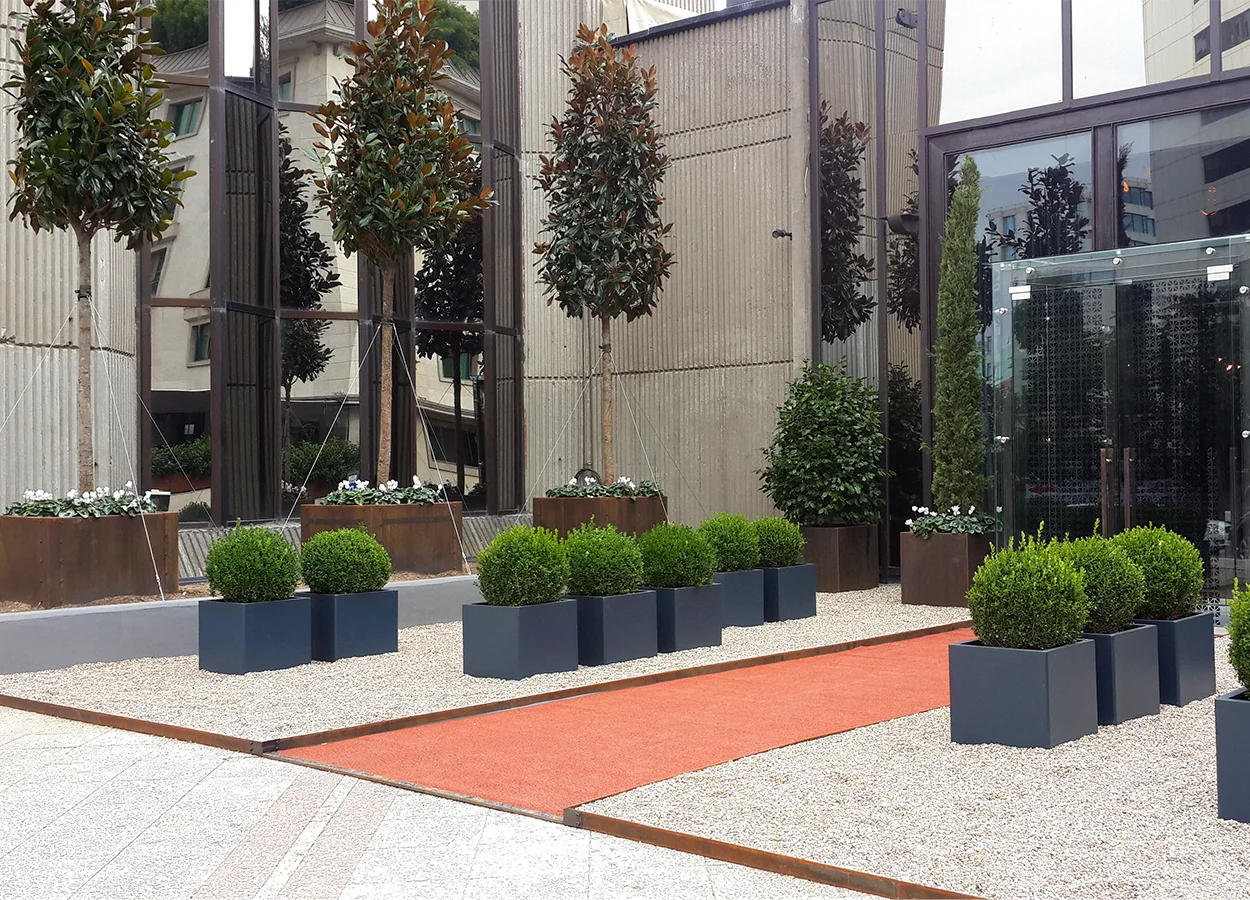 Betula | Nova Baran Plaza