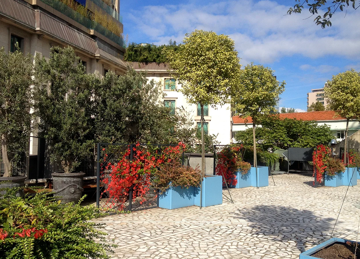 Betula | Nova Baran Plaza