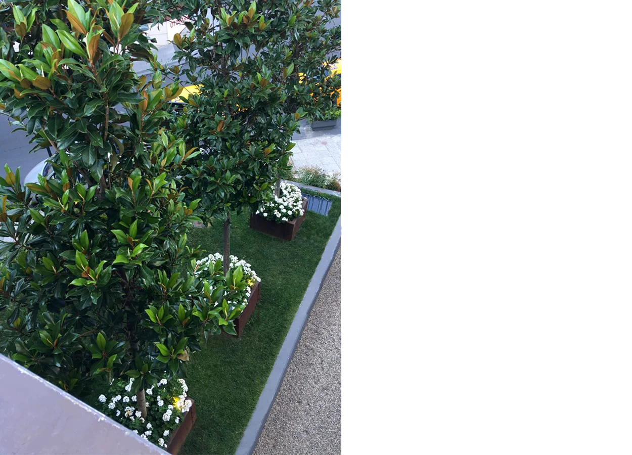 Betula | Nova Baran Plaza