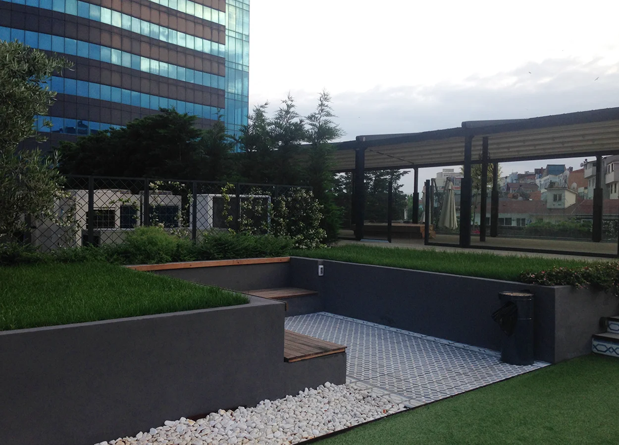 Betula | Nova Baran Plaza