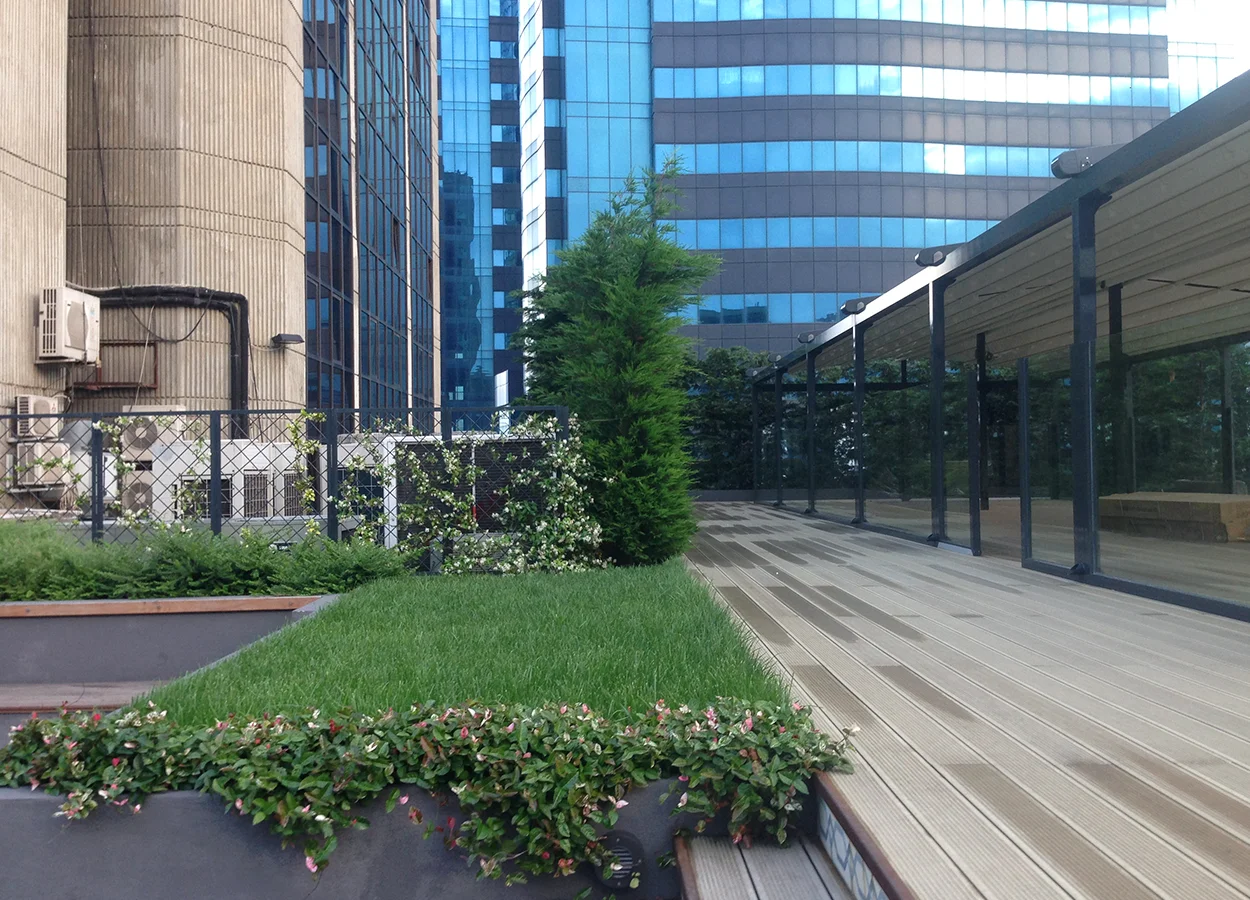 Betula | Nova Baran Plaza