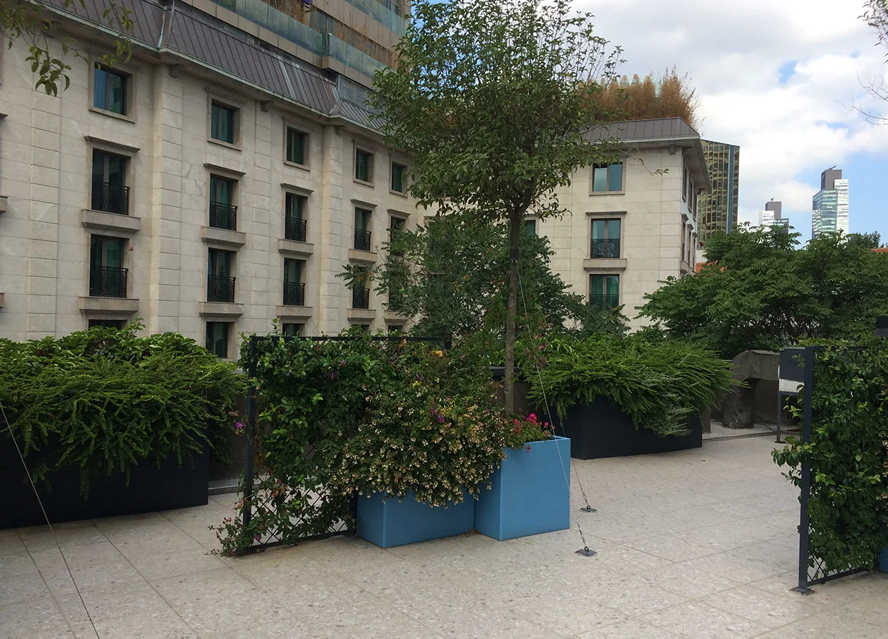 Betula | Nova Baran Plaza