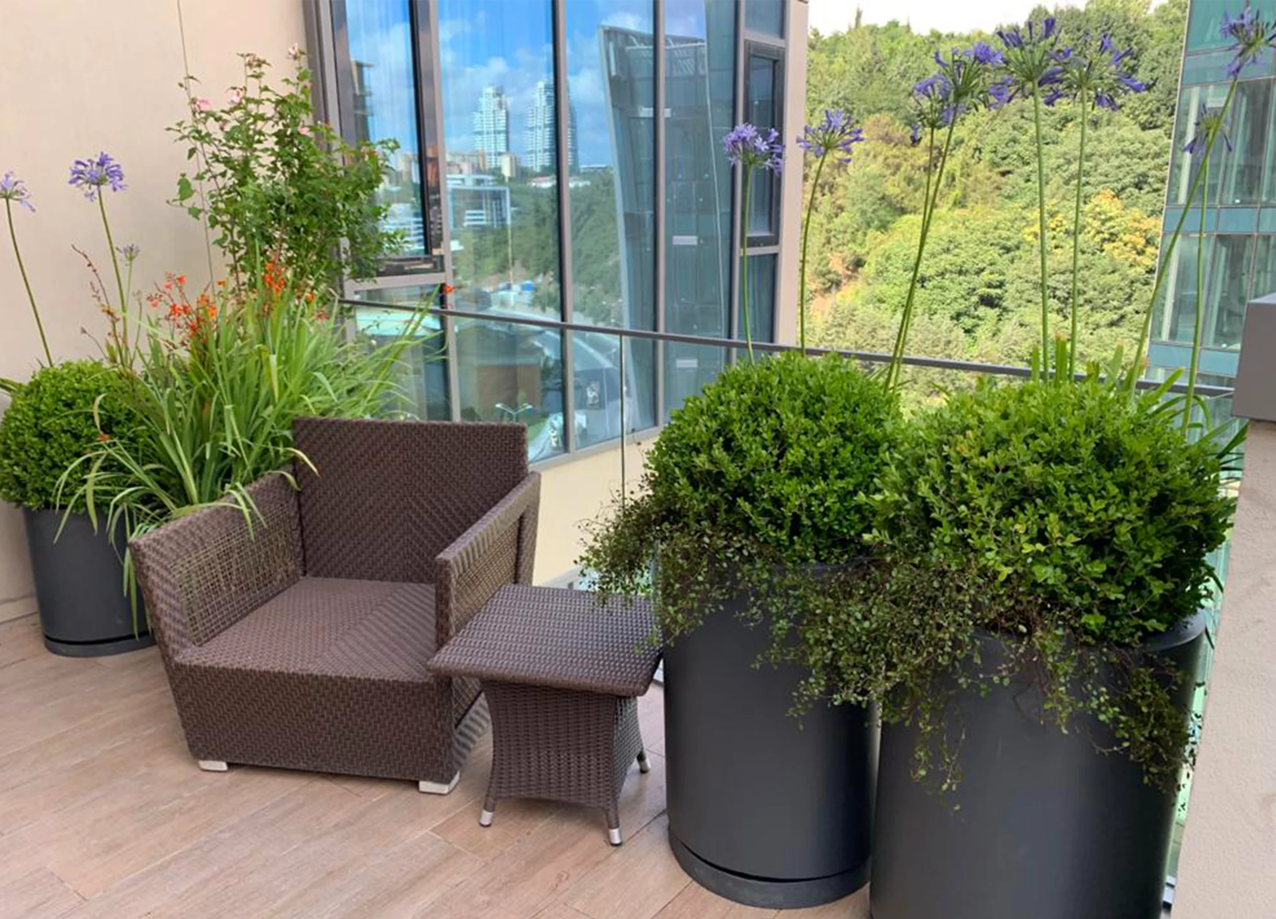 Betula | Vadi Istanbul |BO| Terrace