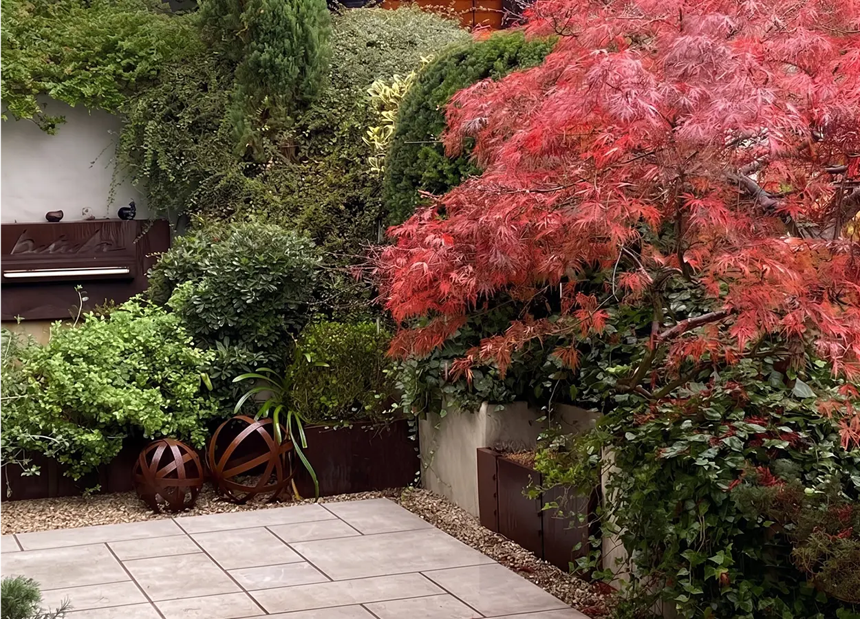 Betula | Betula Landscape Architecture |Ofis