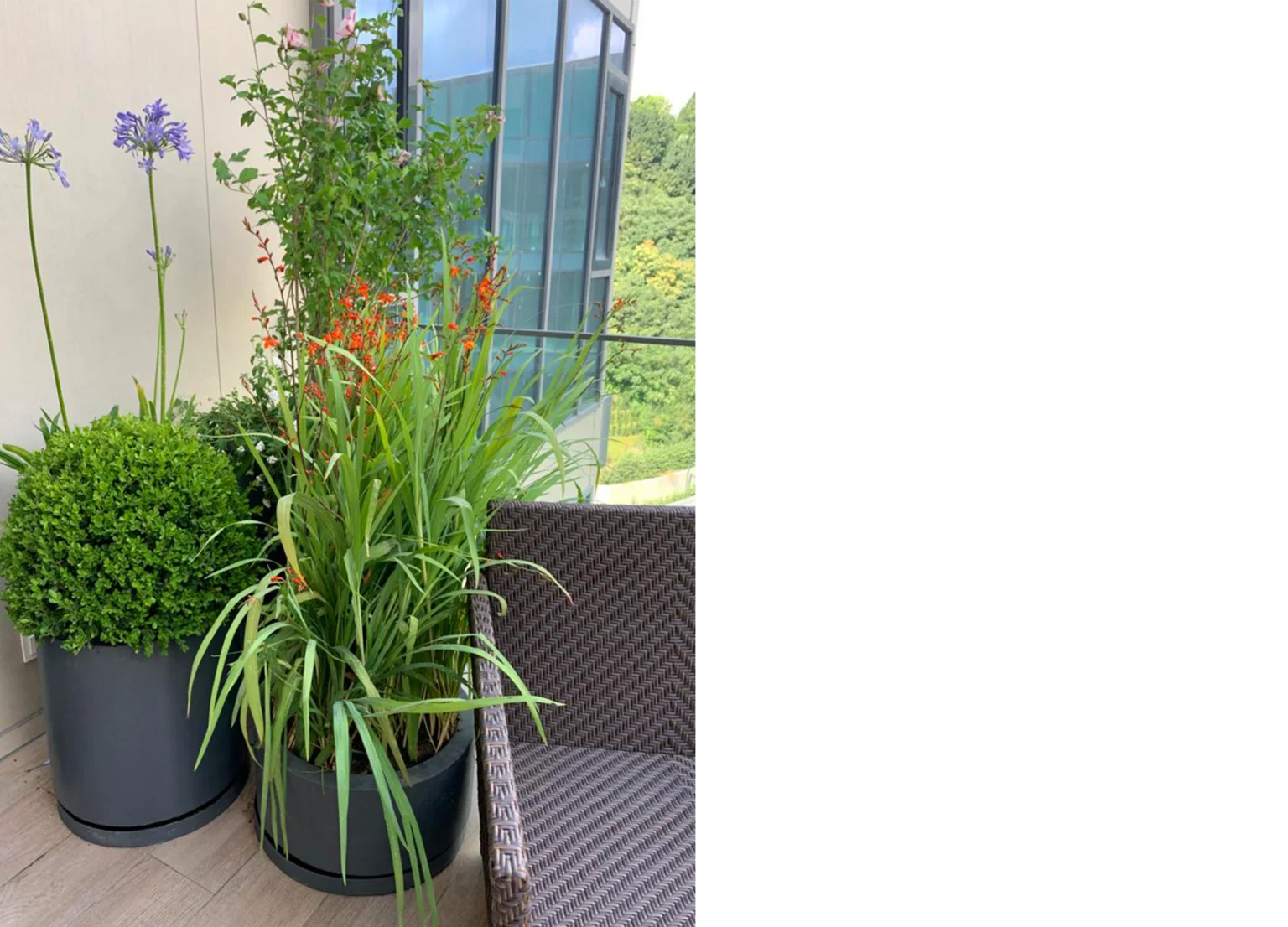 Betula | Vadi Istanbul |BO| Terrace
