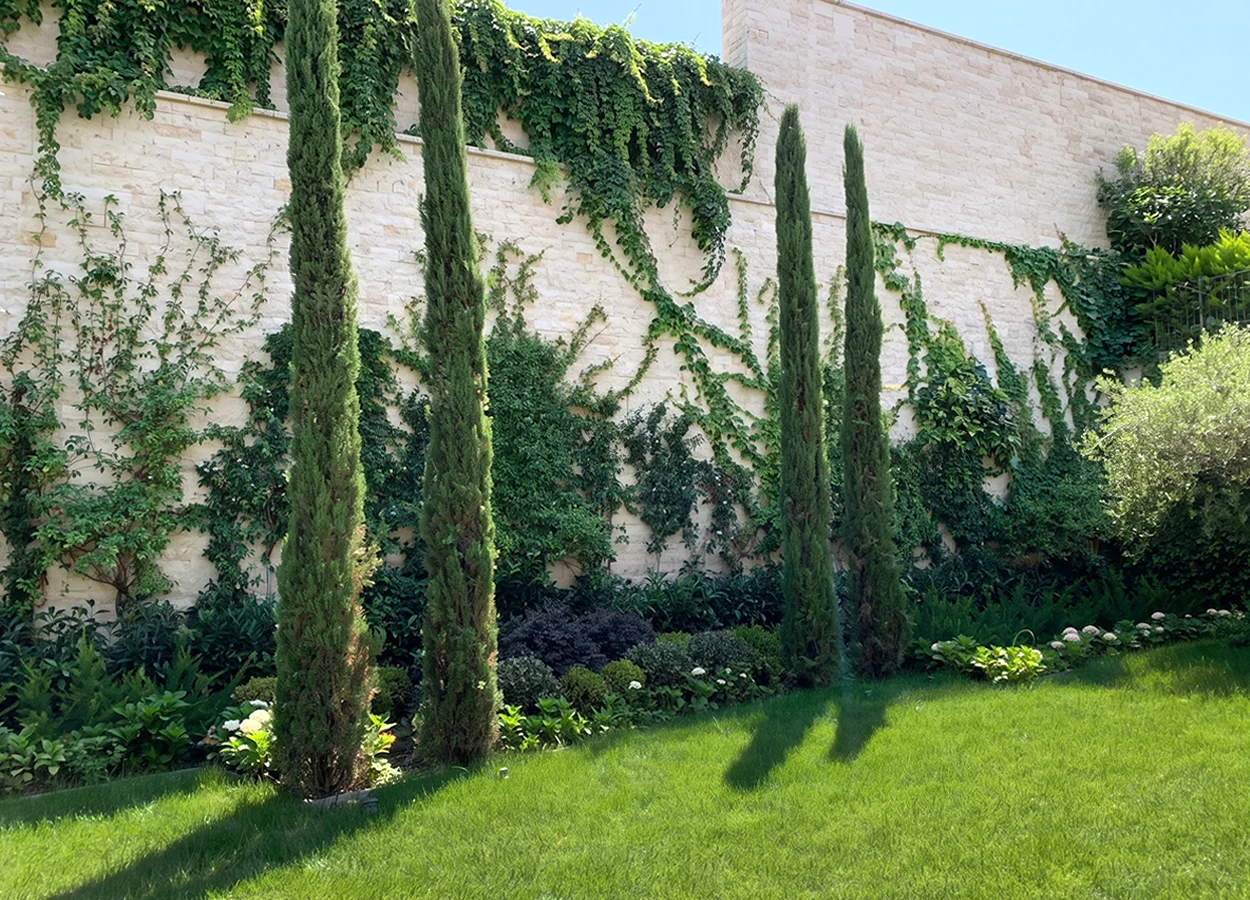 Betula | Ormanada |MU| House
