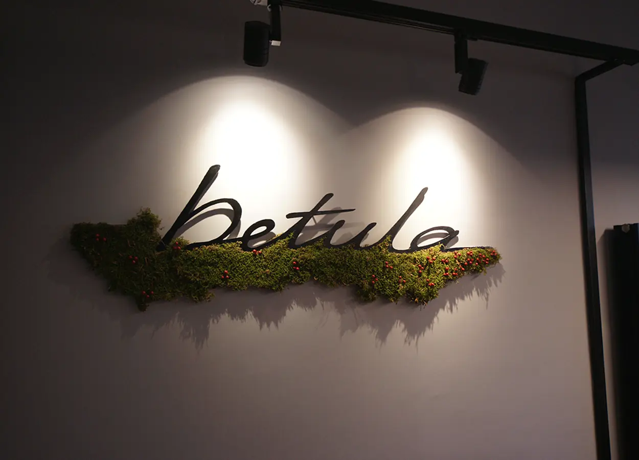 Betula | Betula Landscape Architecture | Office