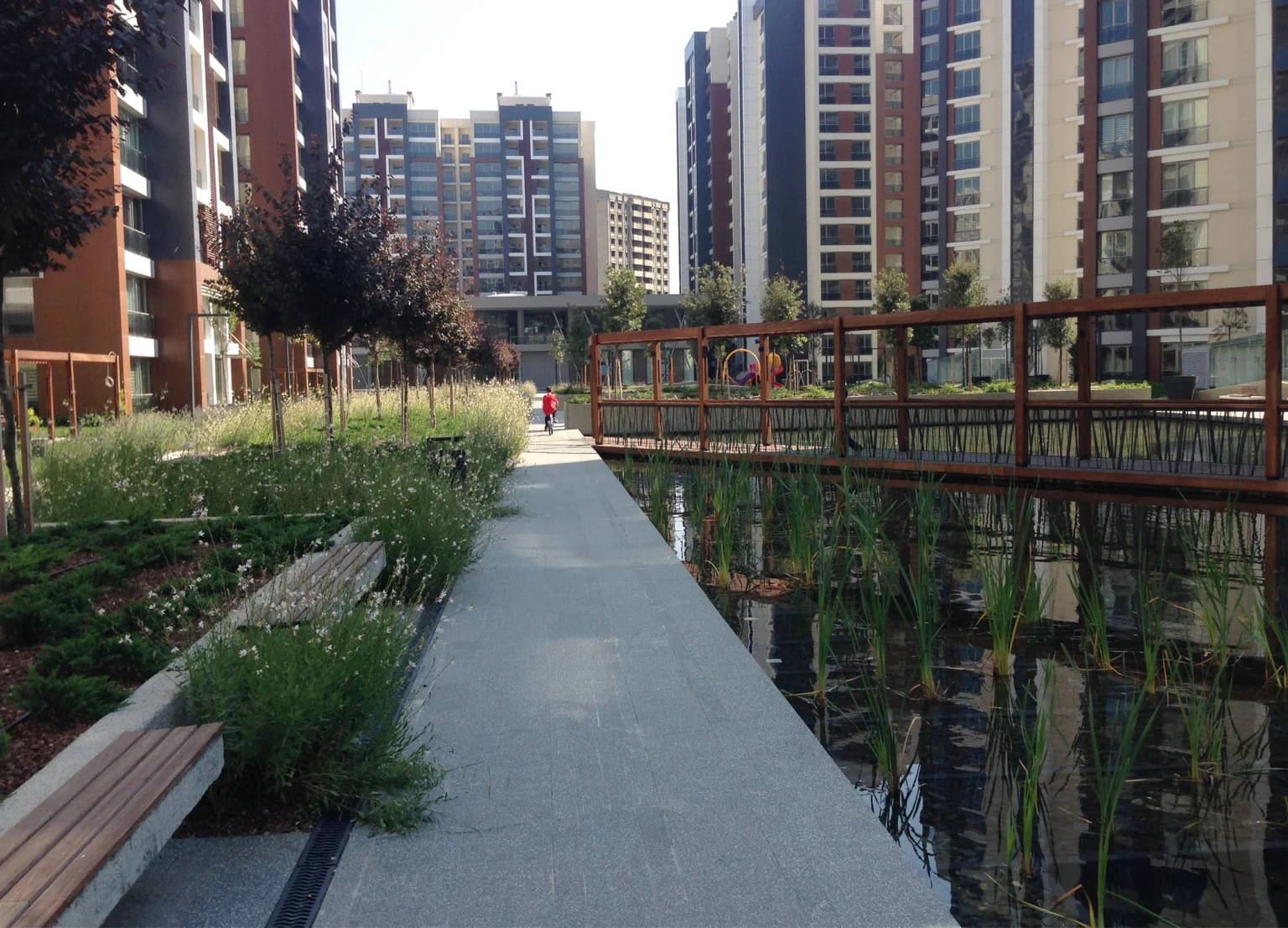 Betula | The Istanbul Veli Efendi