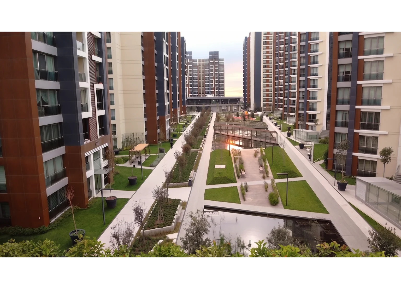 Betula | The Istanbul Veli Efendi