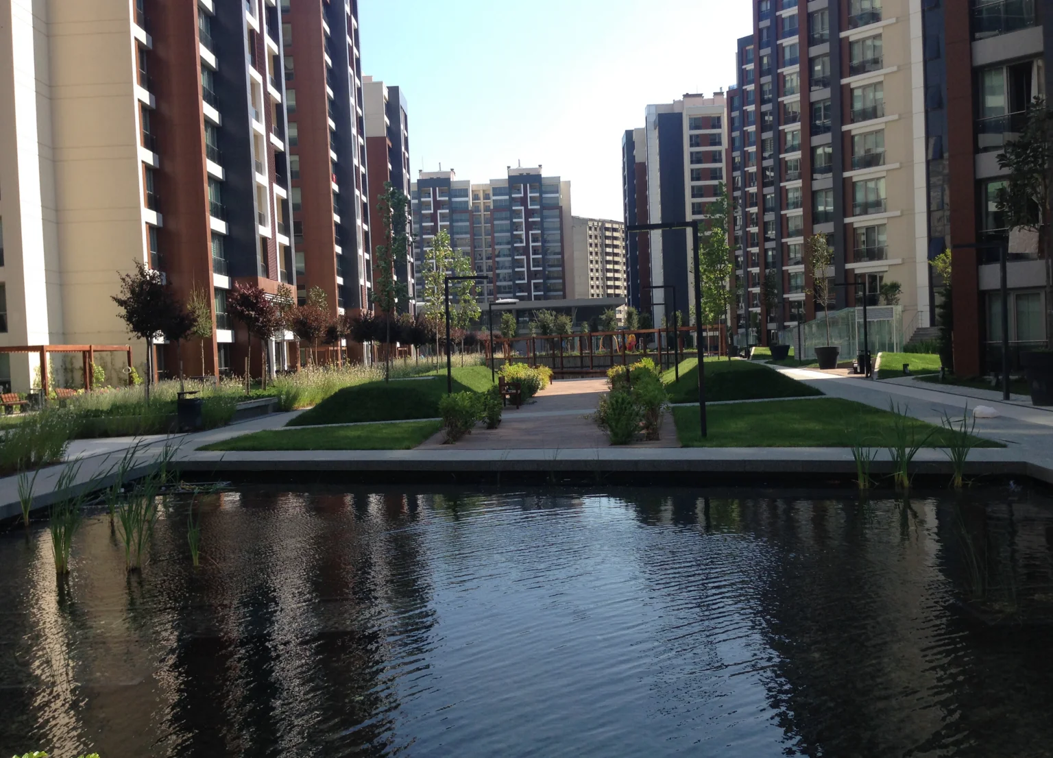 Betula | The Istanbul Veli Efendi