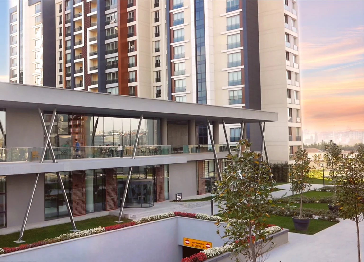 Betula | The Istanbul Veli Efendi