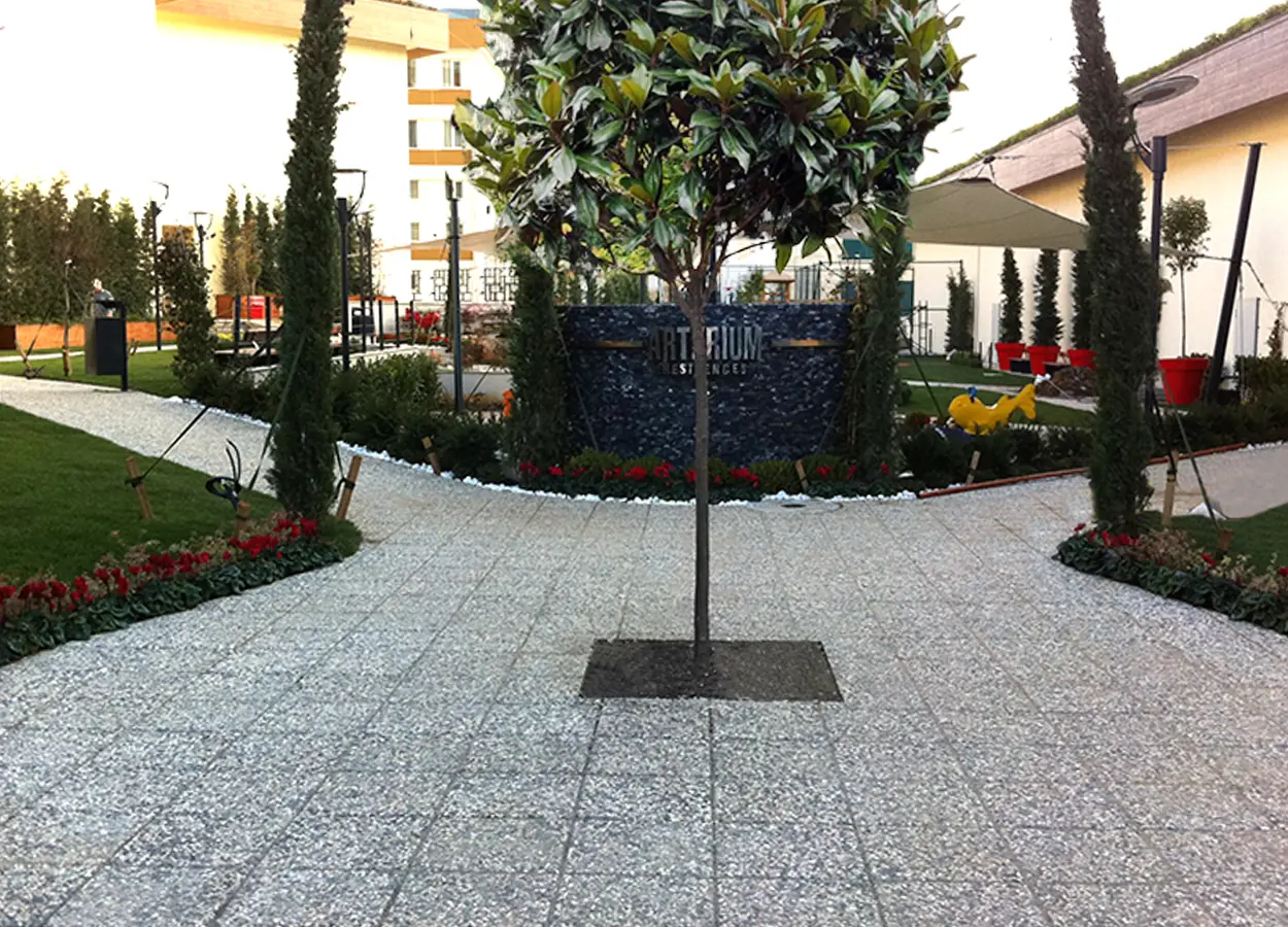 Betula | Arterium Residences