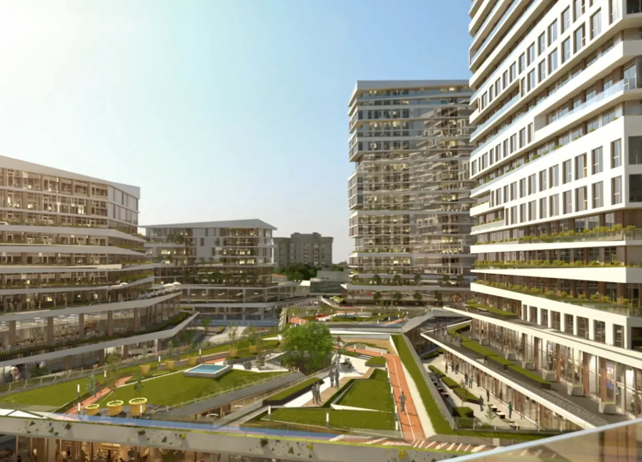 Betula | Nivo Istanbul | Basınexpress