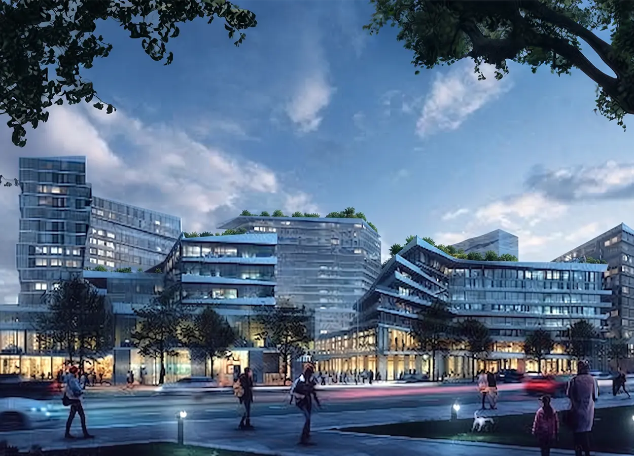 Betula | Nivo Istanbul | Basınexpress