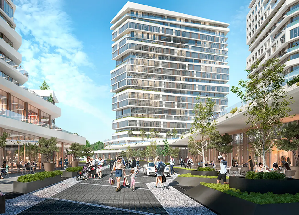 Betula | Nivo Istanbul | Basınexpress
