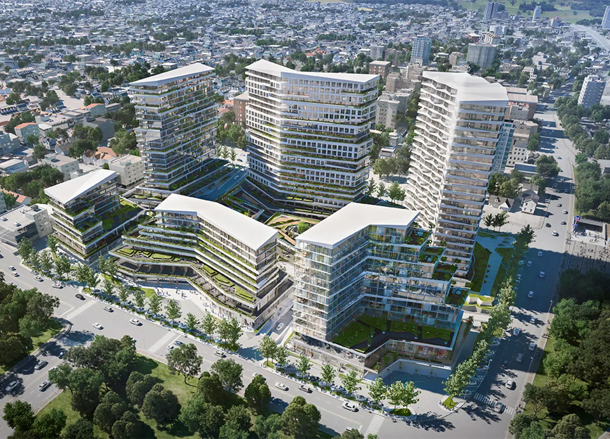 Betula | Nivo Istanbul | Basınexpress