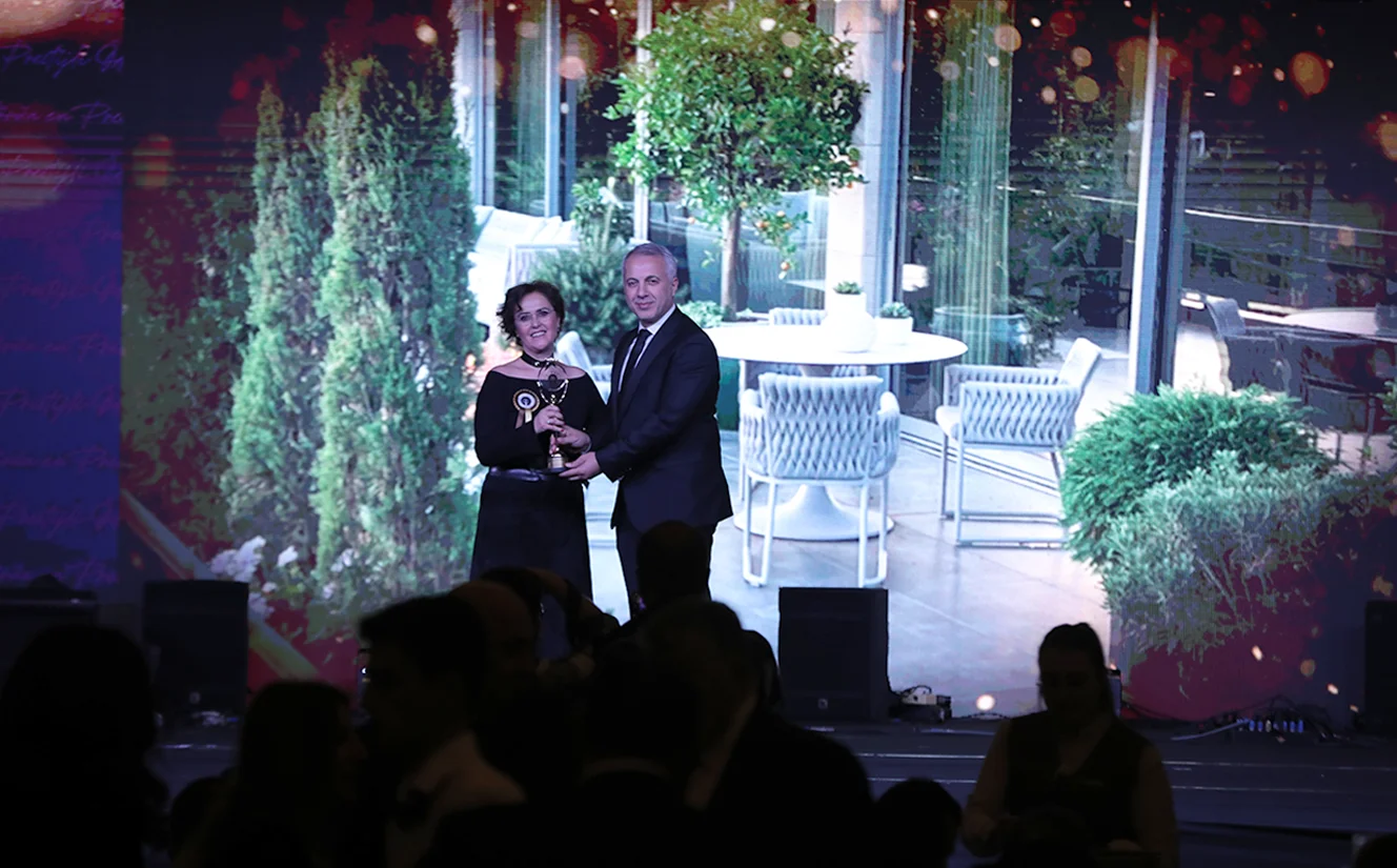Implemented Project Category Award