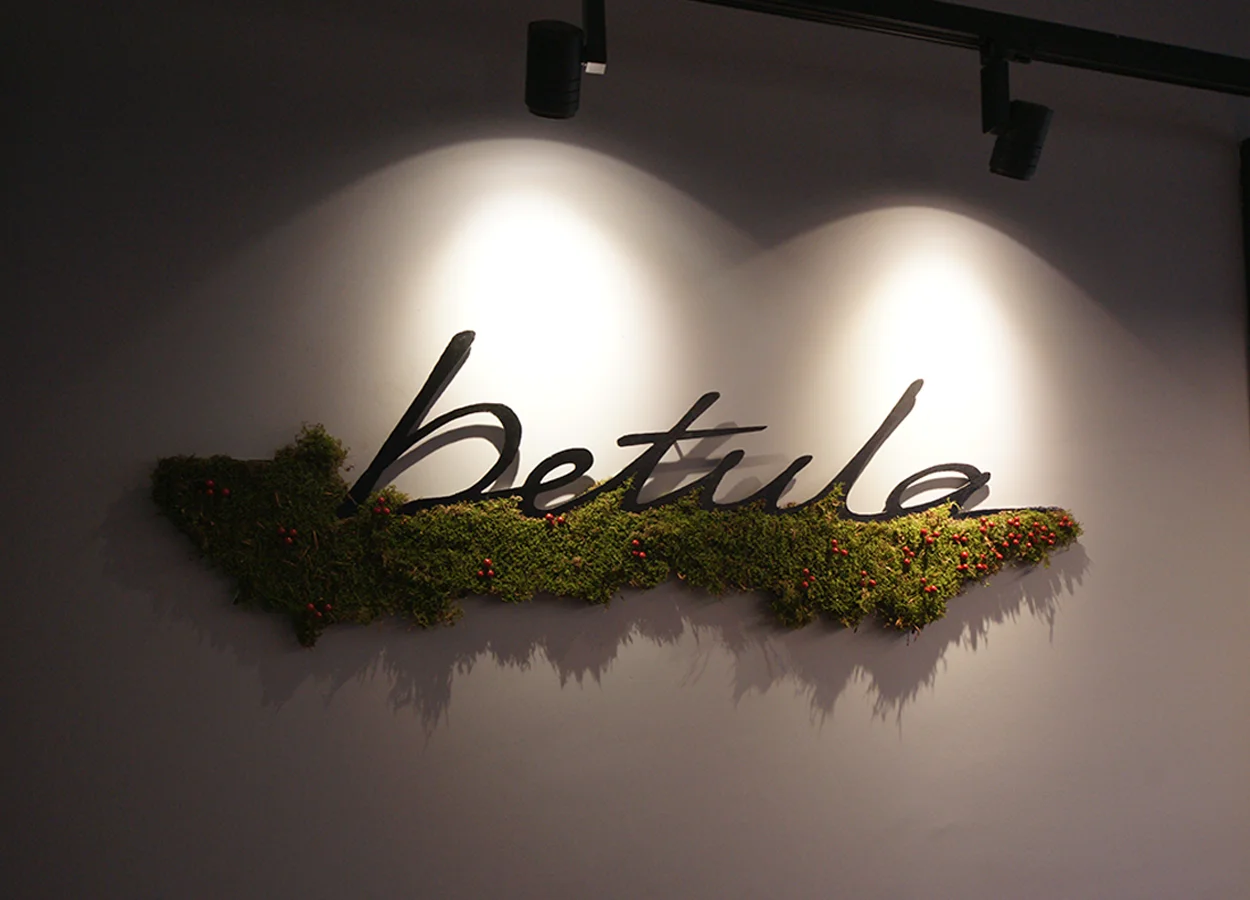 Betula | Hakkımızda